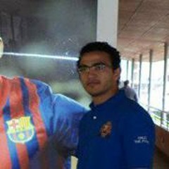 Alaa Eldin Salah