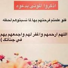 Sara Soliman 5