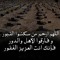 Esraa Esam 1