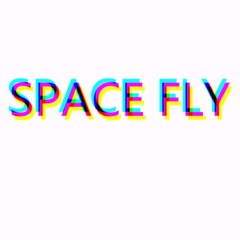 Space Fly