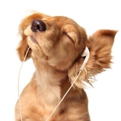 AlstonLuvsElectro