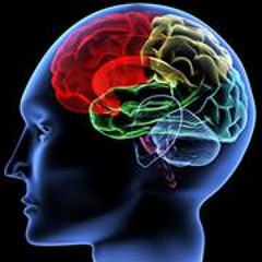 master mind