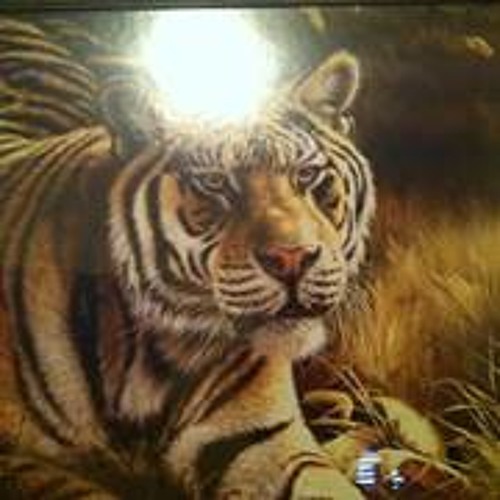 Lion Paw 5’s avatar