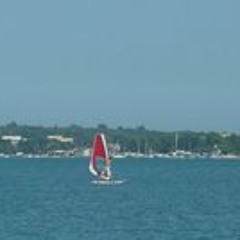 Marco Slimer Grasselli