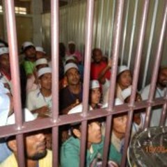 Rohingya Human Rights