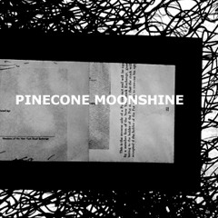 Pinecone Moonshine