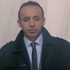 Mohammed Adel 26