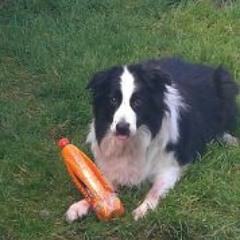 Philip Spiller Napier