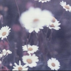 lara_hoer