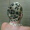 Stathis Leopard