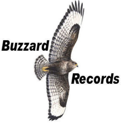 Sound Investment Record’s avatar
