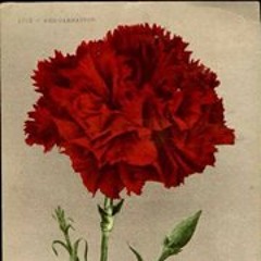 Deniz Vuslat Öndersev