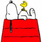 snoopy you