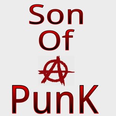 Son Of A Punk