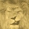 Rey Leon mx
