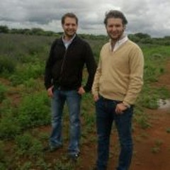 Daniel Urquidi Ricaud