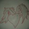 user312240522