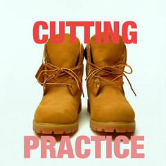 CUTTINGPRACTICE