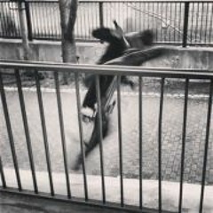 Manato Coward Fukushima