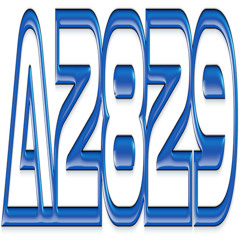 A2829