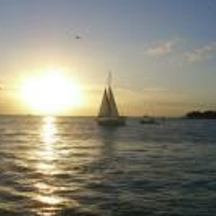 Daniele Ikeo Parente