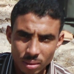 الشيخ محمد سيد حاج