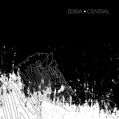 Zebra2013