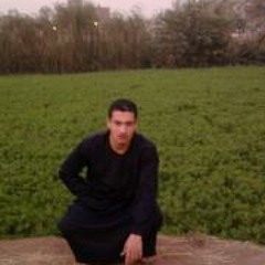 Hatem Habib