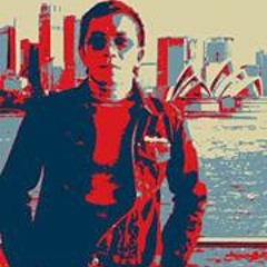 Vincent C H Lee