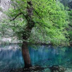 Xavier Vandecasteele