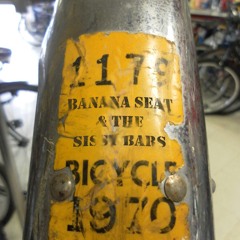 BananaSeatAndTheSissyBars