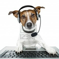 TechnoDog
