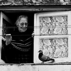 sycomule69@gmail.com