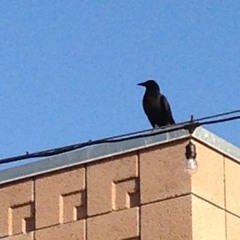 ϻ₪ЂѢћä﷼$@v€n#₭üntZд£