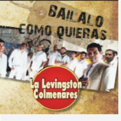La Levingston Colmenares