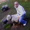 sheep_003