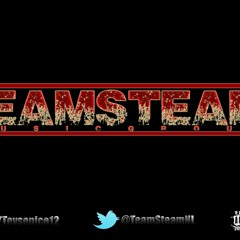 Tevs #TeamSteam