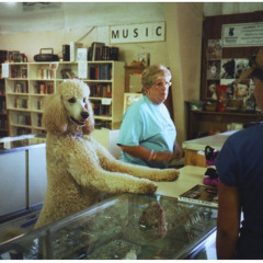 Joshua Orion Kermiet