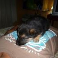 Alexander Herrera Rejas