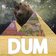 DUM :-O