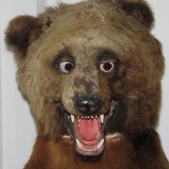 eyeballthedancingbear