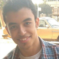 Raouf M. El-Naggar