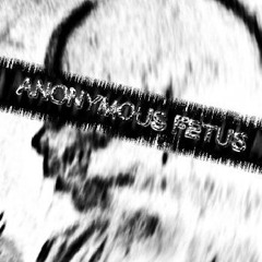 Anonymous Fetus