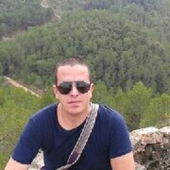 Fran Ferrer Valdivia