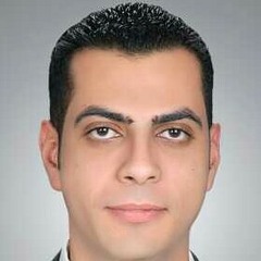 Ehab Mohamed Shehata