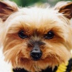 Carolyn Passey-Games