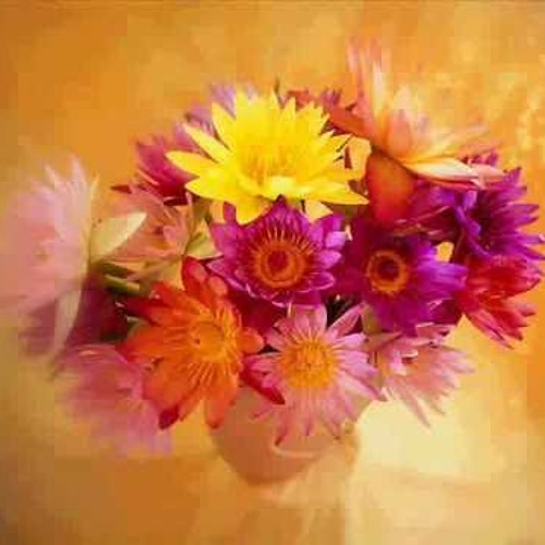 05 - وصلة شعبية