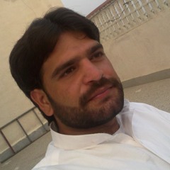 MALIK WAJID