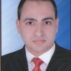 Abdelrahman Mohamed Ahmed