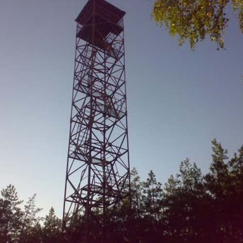 fire tower in the forest’s avatar